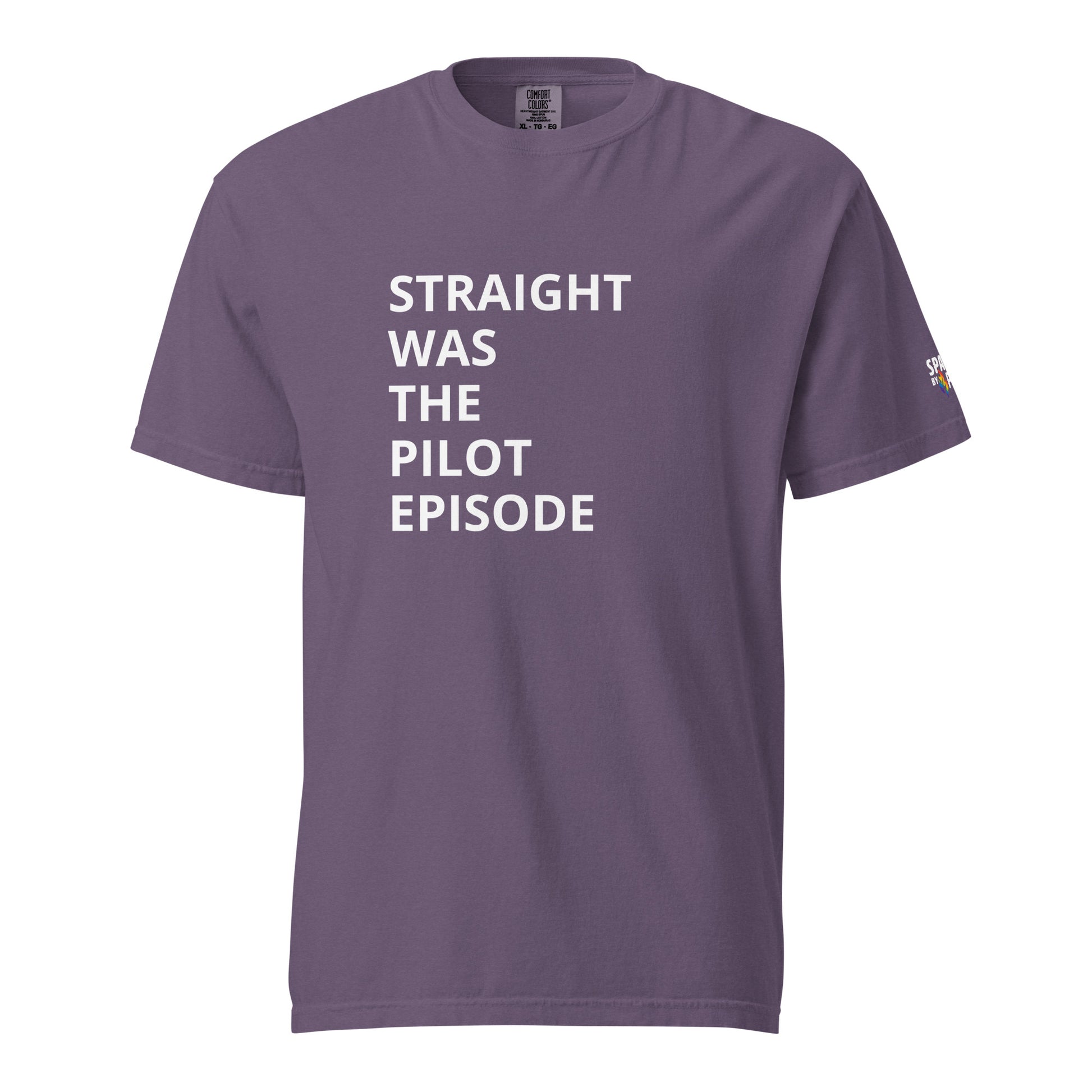 Straight Was the Pilot Episode T-Shirt unisex pride tee with subtle LGBTQ shirt by Sparked By Pride