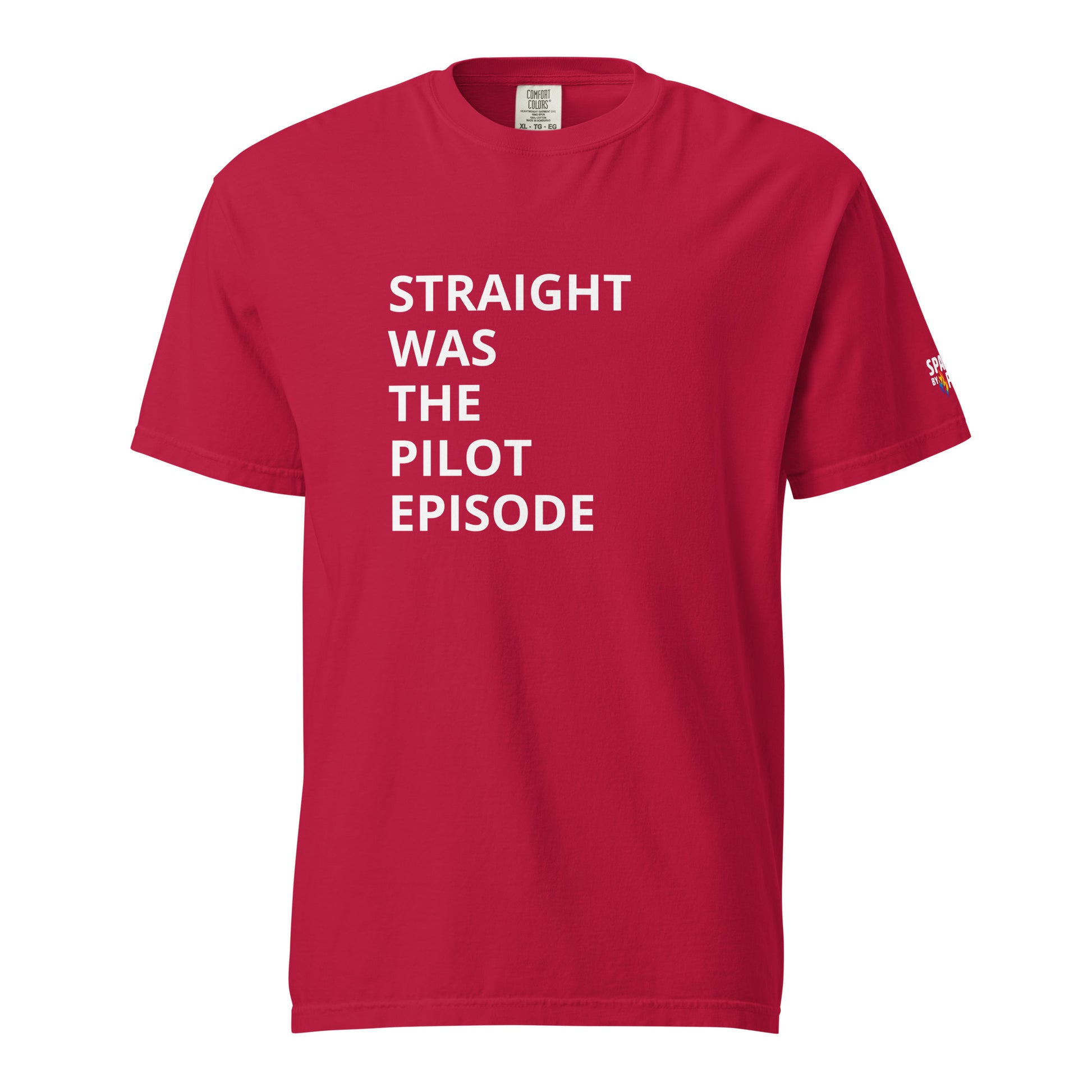 Straight Was the Pilot Episode T-Shirt unisex pride tee with printed pride flame graphic by Sparked By Pride