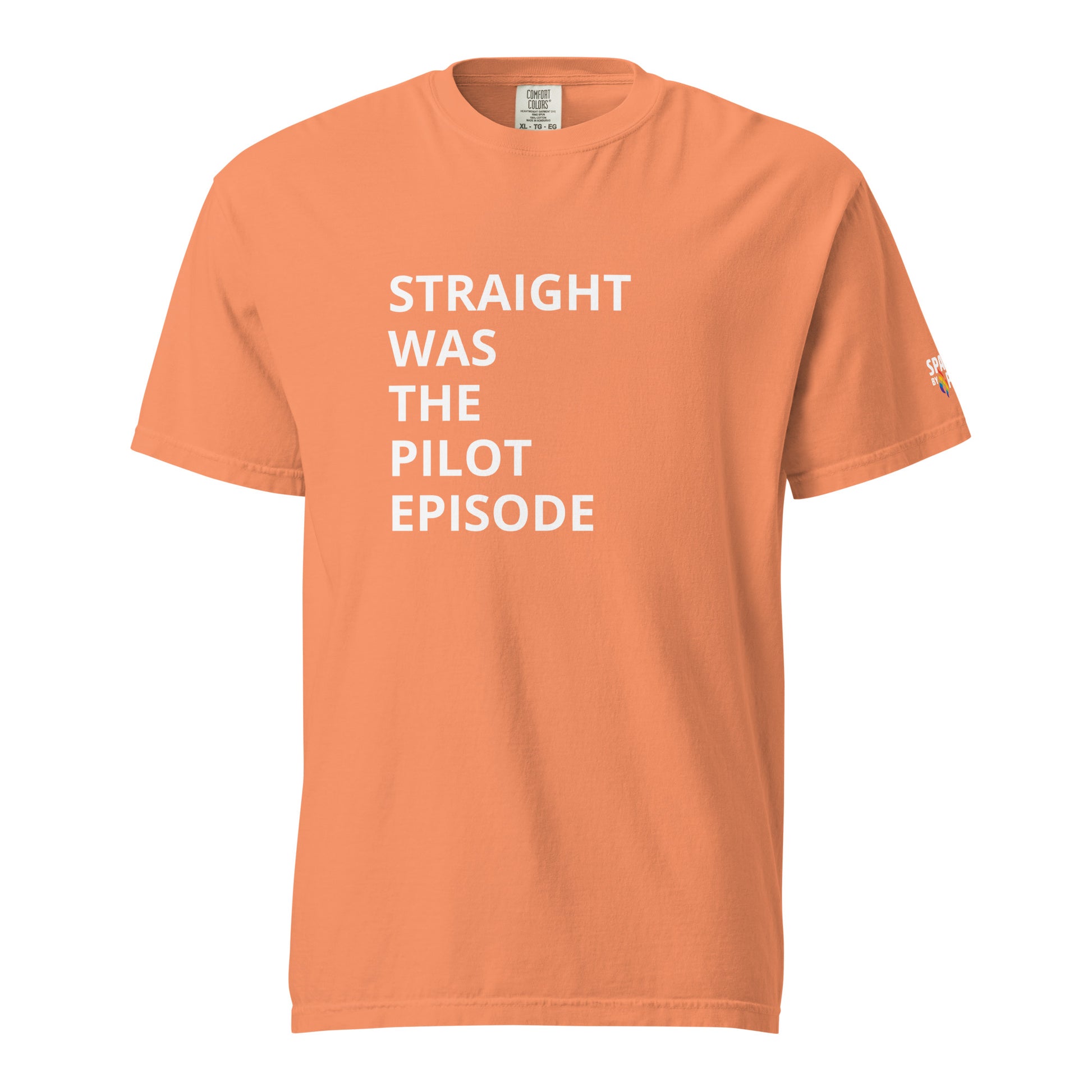 Straight Was the Pilot Episode T-Shirt unisex pride t-shirt with printed pride flame graphic by Sparked By Pride